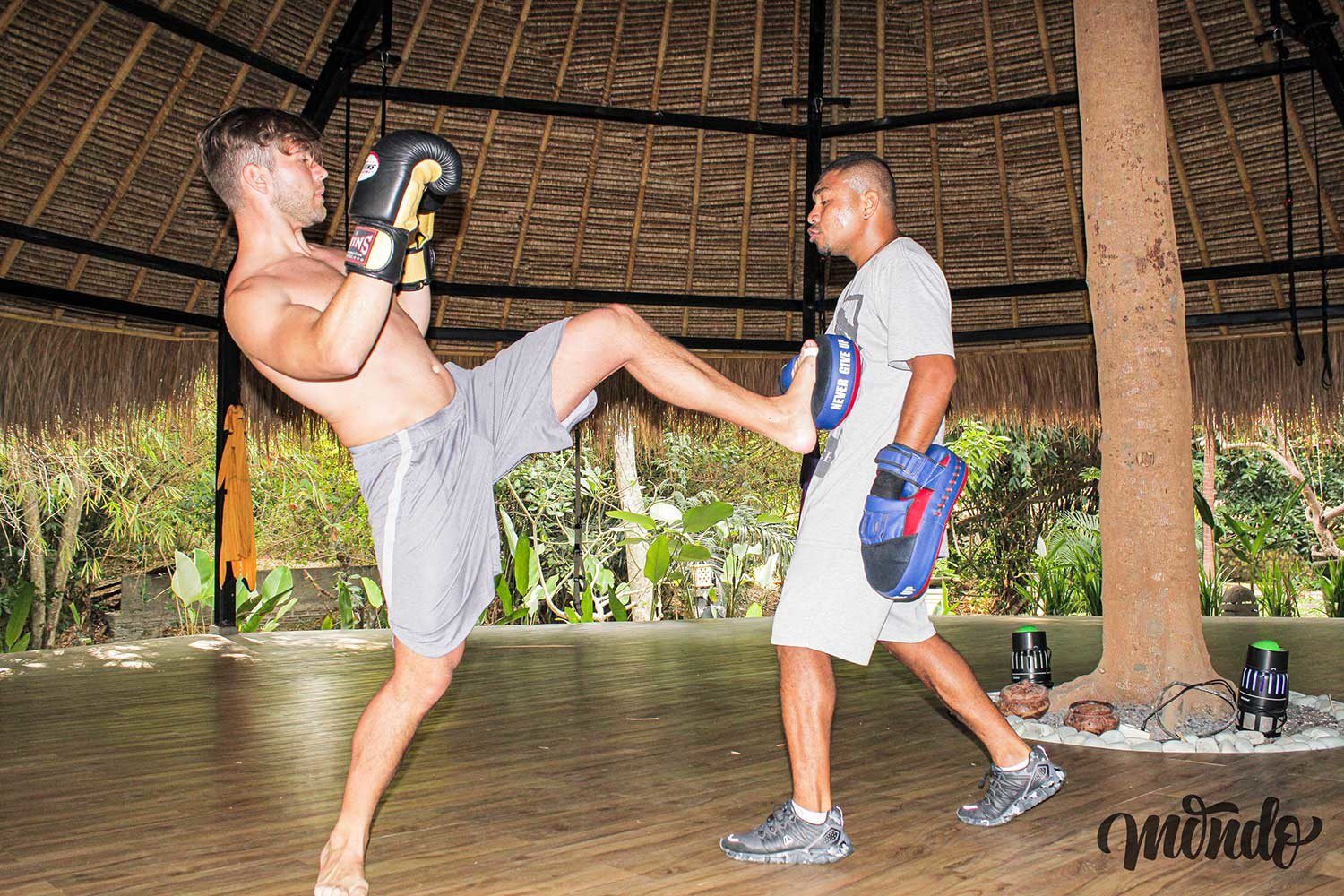 How martial arts can improve discipline?