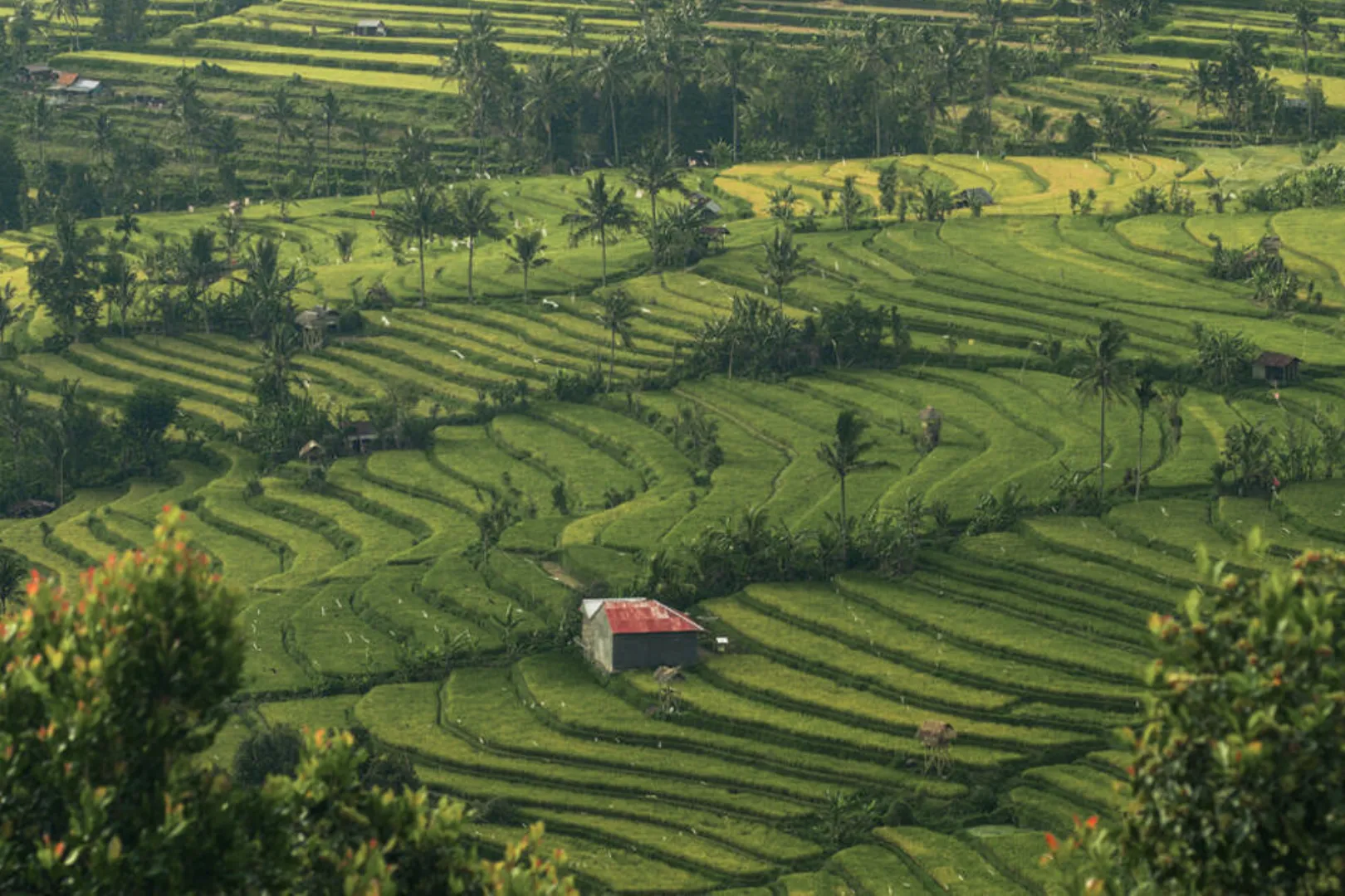 top tourist attractions in Bali