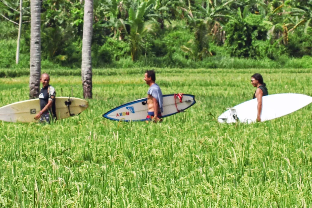 what to do in bali